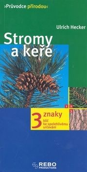 kniha