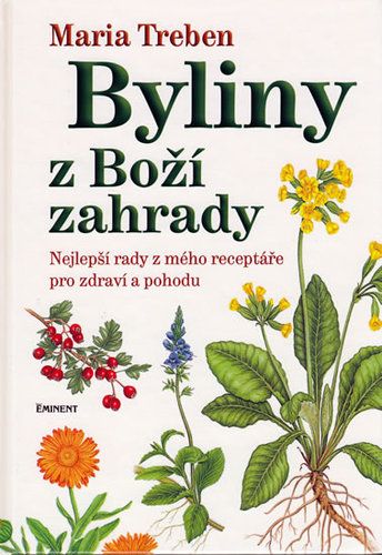 kniha