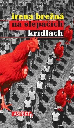 kniha