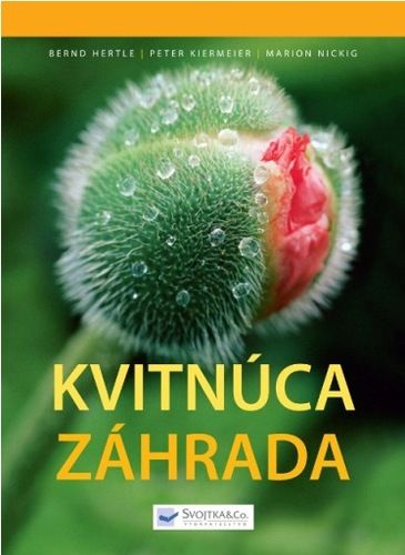 kniha