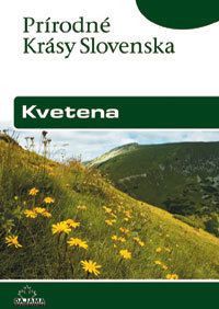 kniha