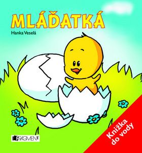 kniha
