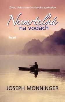 kniha