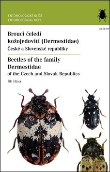 Brouci čeledi kožojedovití (Dermestidae)