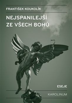 kniha