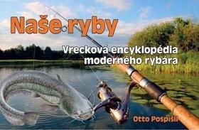 kniha