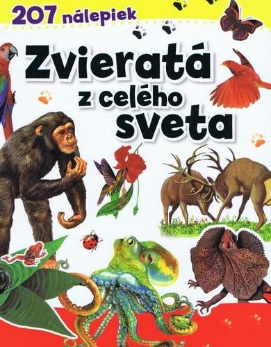 kniha