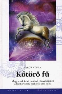 kniha
