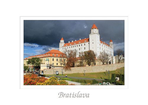 kniha