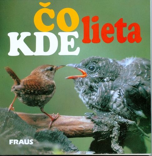 kniha