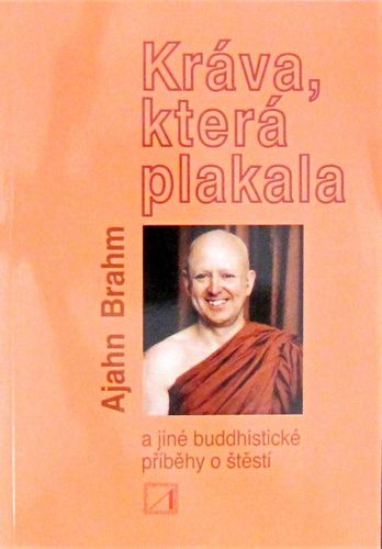 kniha