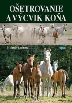kniha