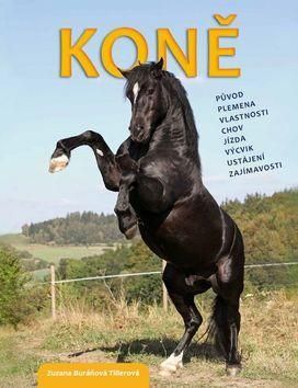 kniha