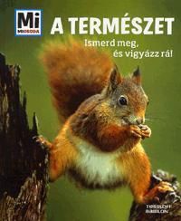 kniha