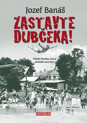 kniha