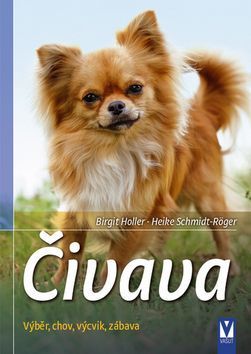 kniha