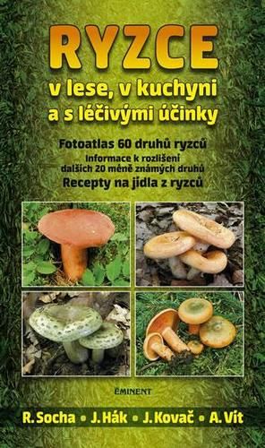 kniha
