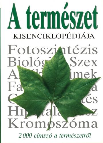 kniha
