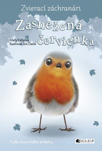 kniha