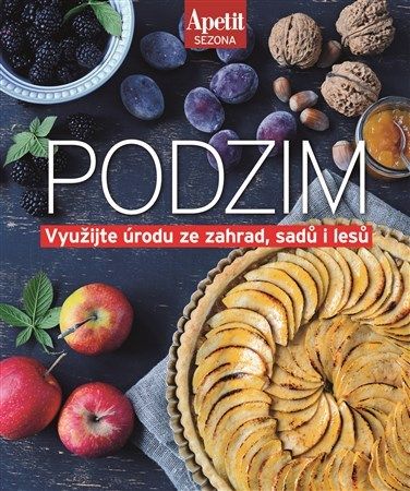 kniha