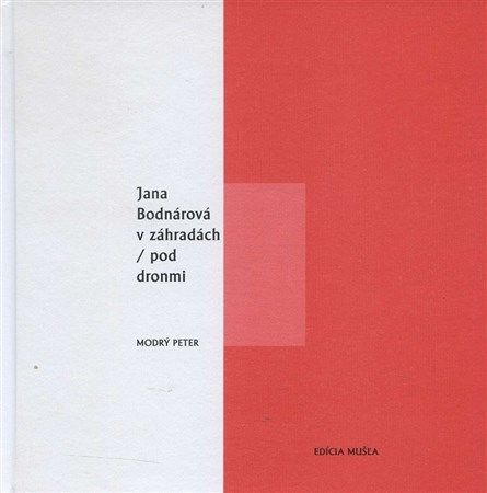 kniha