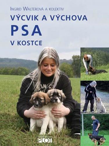 kniha