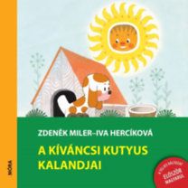 kniha