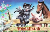 kniha