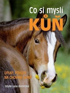 kniha