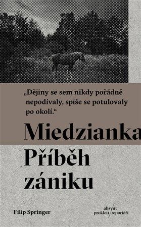 kniha