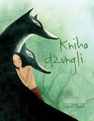 kniha