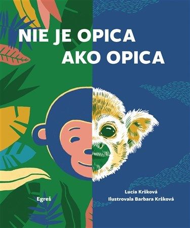 kniha