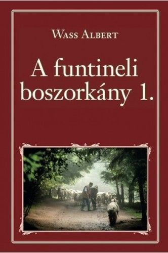 kniha