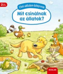 kniha