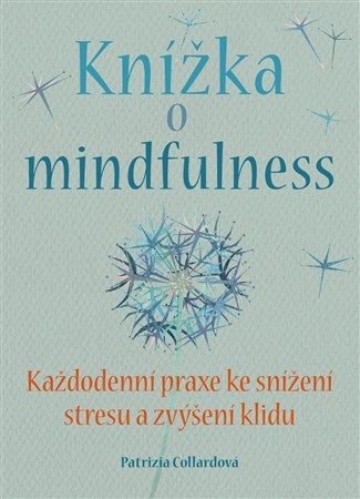 kniha