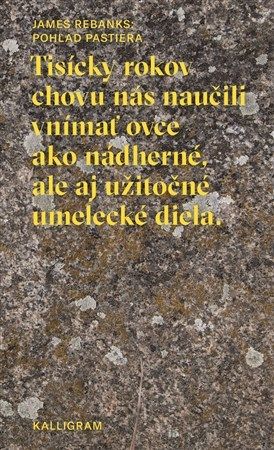 kniha