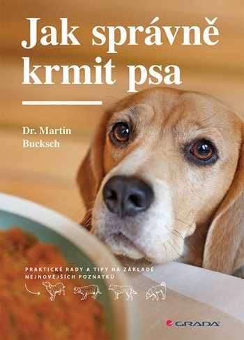 kniha