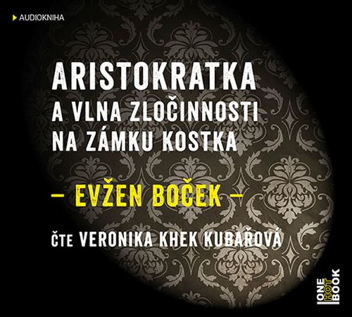 kniha