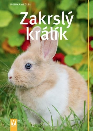 kniha