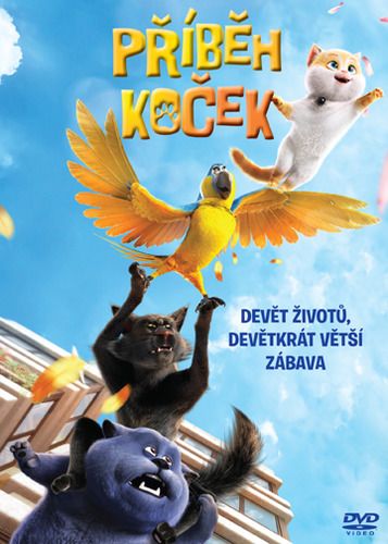 Smelé mačiatko DVD