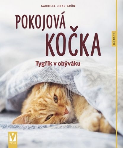 kniha