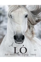 A Ló - Erő, szenvedély, szépség, tökély