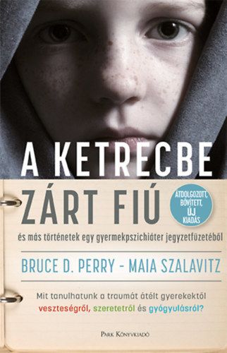 A ketrecbe zárt fiú - és más történetek egy gyermekpszichiáter jegyzetfüzetéből