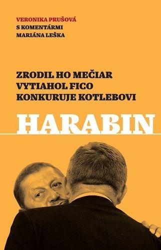 kniha