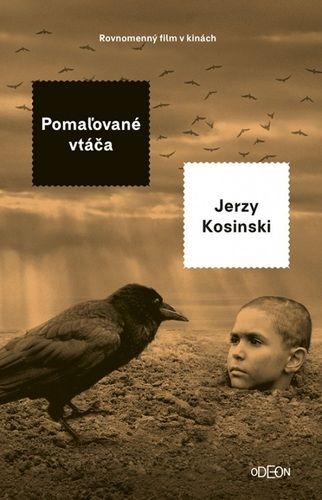 kniha