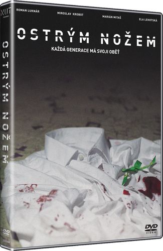 kniha
