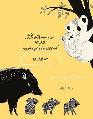 kniha