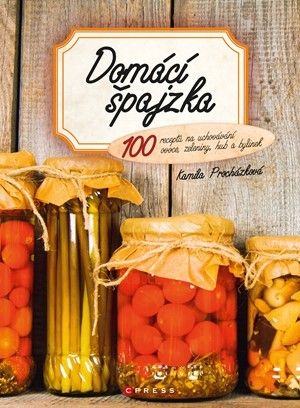 kniha