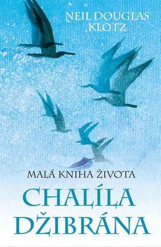 kniha