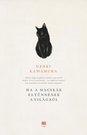 kniha